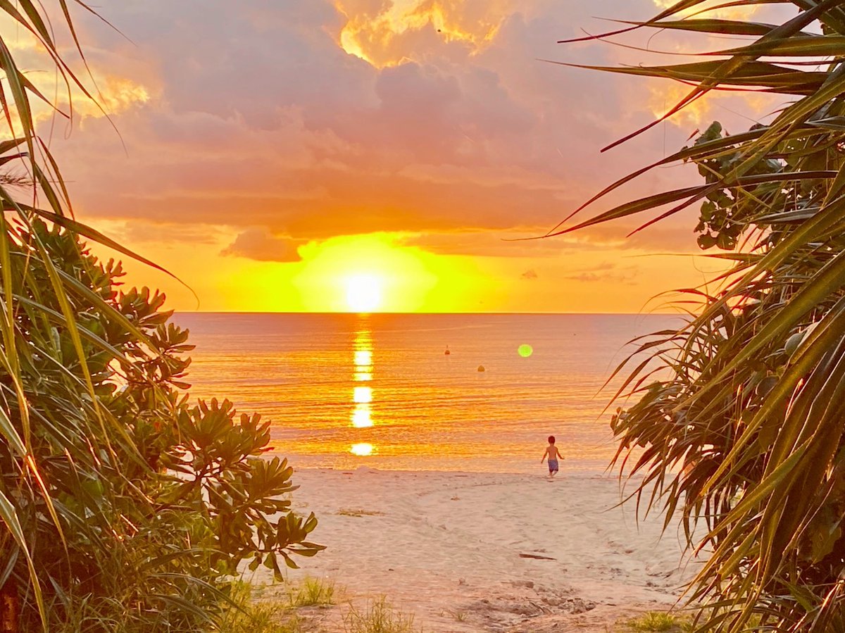 沖縄県恩納村にある海辺の小さな居酒屋 海風よです 沖縄では珍しいペット同伴可な居酒屋です Umikajiyo Twitter