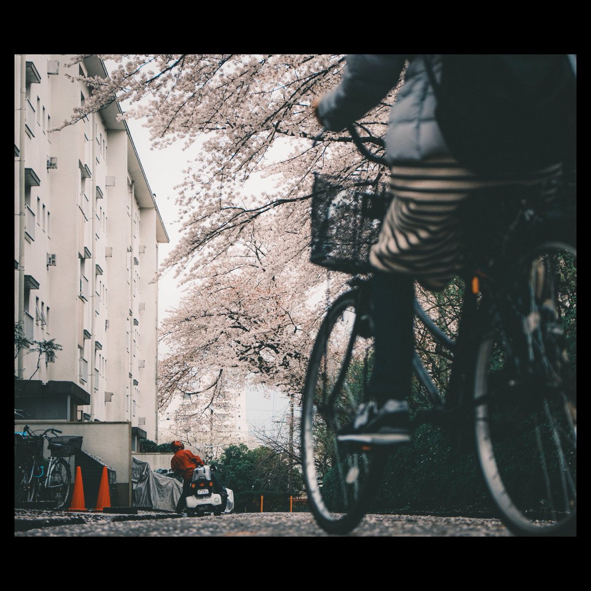 OonoTity's tweet photo. 青×赤
【 #通り過ぎたなんでもない毎日 】
・
・
・
#なんてことのない写真 #黄色計画 #千葉 #fuji_xseries #galaxynote9 #vscocam #japan #japan_photo_now #写真好き #写真好きな人と繋がりたい #reco_ig #snap #snapshot https://t.co/qo0yU9ZREC