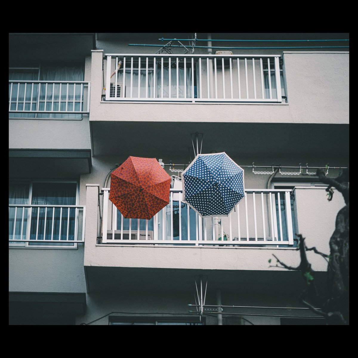 OonoTity's tweet photo. 青×赤
【 #通り過ぎたなんでもない毎日 】
・
・
・
#なんてことのない写真 #黄色計画 #千葉 #fuji_xseries #galaxynote9 #vscocam #japan #japan_photo_now #写真好き #写真好きな人と繋がりたい #reco_ig #snap #snapshot https://t.co/qo0yU9ZREC