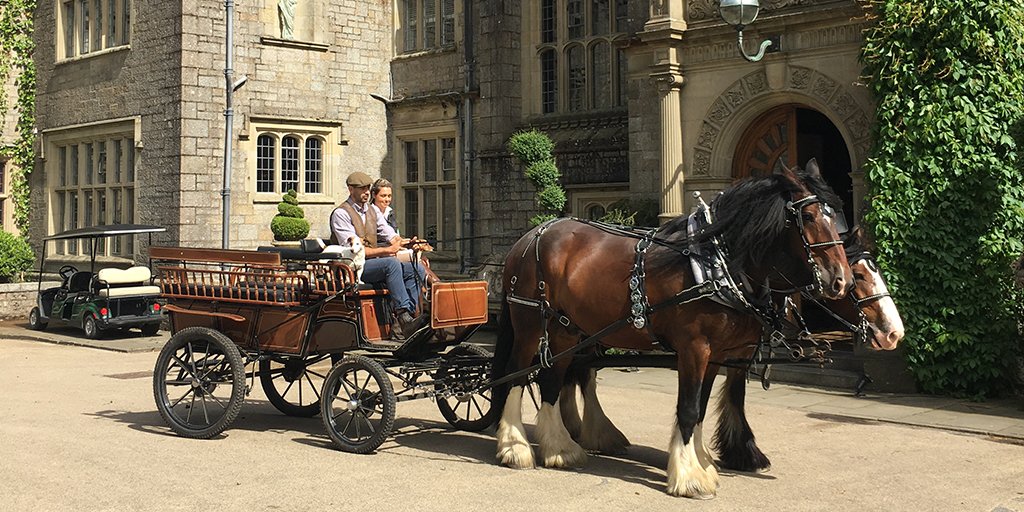 BoveyCastle's tweet photo. Step back in time and take a ride on our Horse Drawn Carriage ๐ด
Ben and Duke will be happy to take you on a tour of North Bovey
Discover more: https://t.co/ODsAGPiame
#ukbreak #ukbreaks #boveycastle #activitiesuk #ukactivities #devon https://t.co/WpixJeSO6s