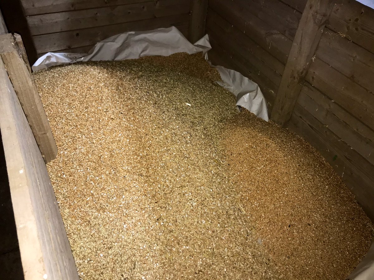 The Scottish summer has returned so we’re dressing some wheat seed ready for early autumn sowing. We’ve a small dresser which utilises the pit and elevators in the grain drying shed, the seed is fed in, riddled to remove chaff, small grains and detritus and bagged.