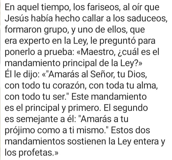 Lectura del Santo Evangelio Según San Mateo (22, 34-40)