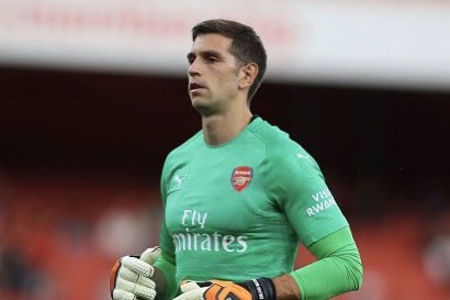 Emiliano Martinez  GKP  ARSPrice: £4.5mAppearances: 9Per G:  1.0 conceded  3.8 saves  79% save percentage 3 clean sheets