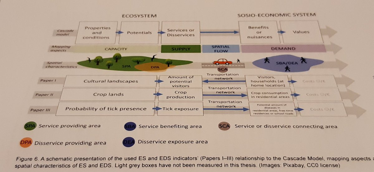 Highly interesting PhD thesis defence about integrating accessibility analysis to ecosystem services research. Scales and holistic perspectives matter. @terhi_alahulkko @UniOulu @geobiodiv @PVihervaara @SYKEinfo