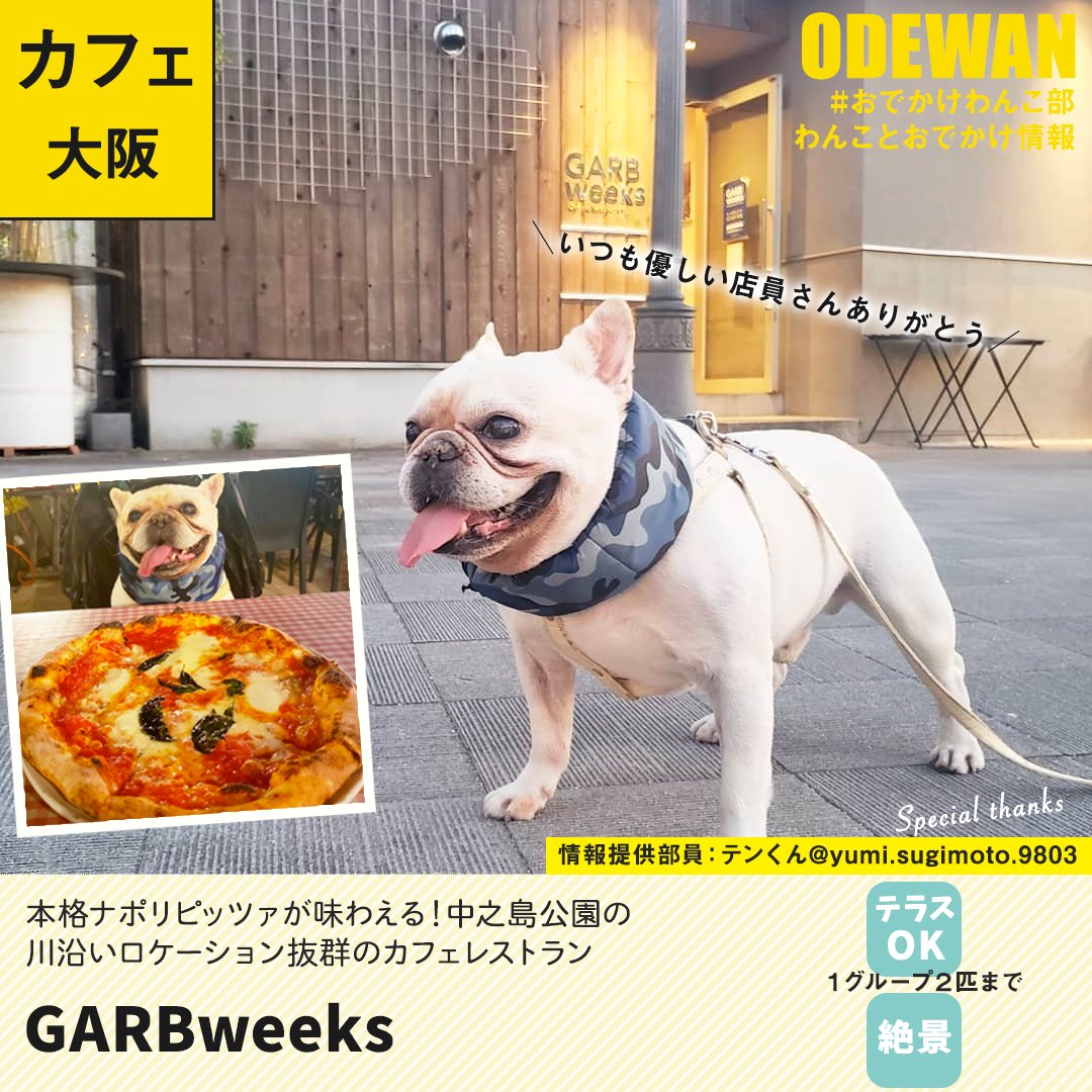 おでかけわんこ部 愛犬とのおでかけ情報 Odewanbu Twitter