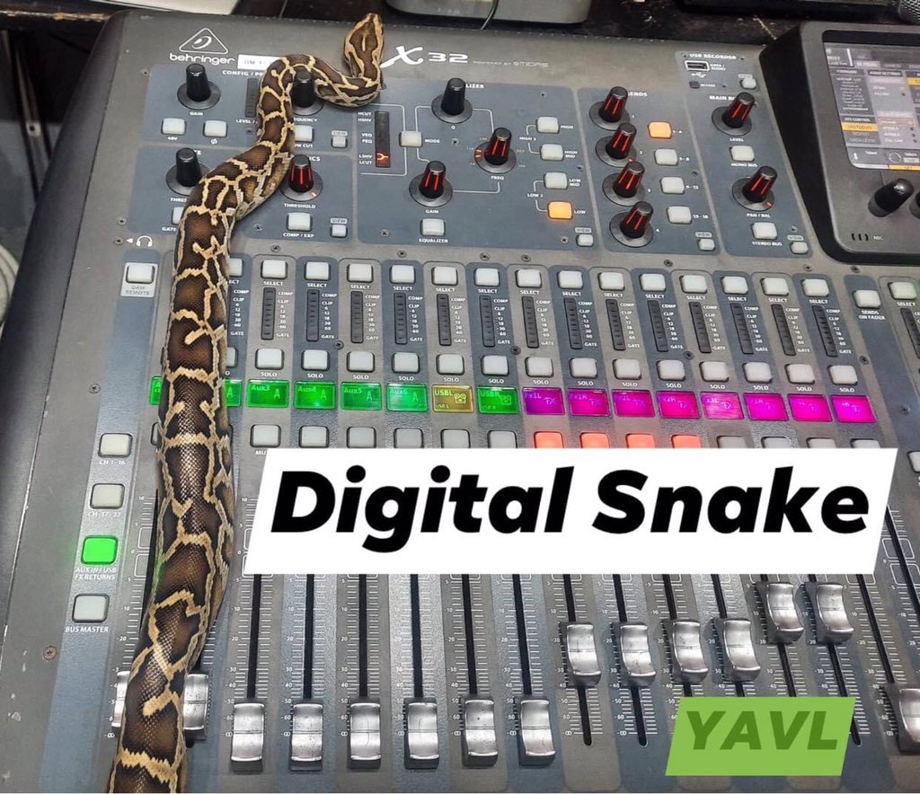 markyuloaudio's tweet image. Digital Snake #YAVLCenter