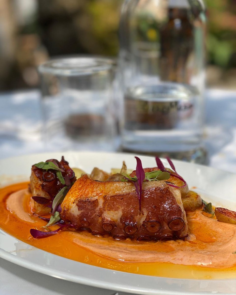 HotelCasaMasip's tweet photo. Ven a Ezcaray y date el gustazo con alguno de nuestros platos en nuestro restaurante al aire libre y con todas las medidas necesarias para evitar contagios.
#ezcaray #gastronomia #larioja #restaurante #menuverano https://t.co/BaxqIostM9