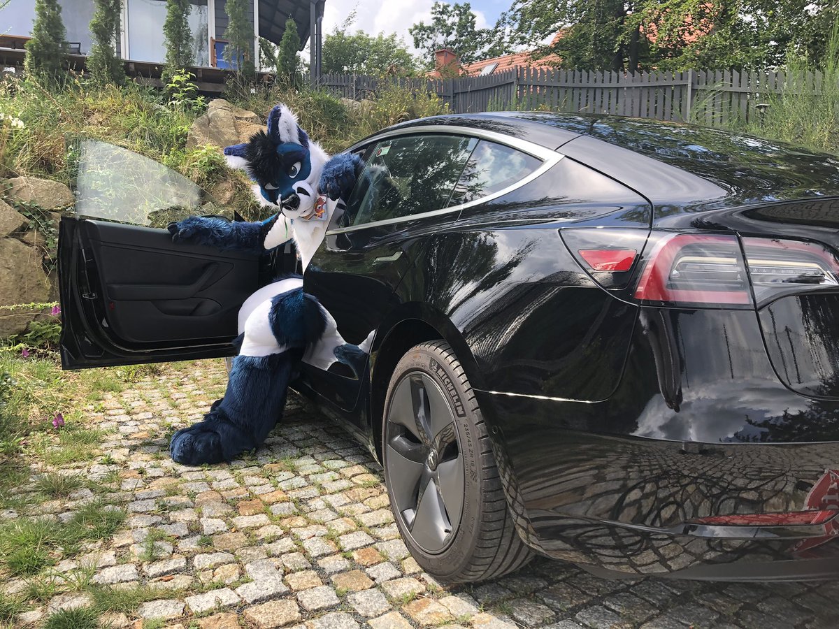 What do you mean foxes can’t drive? The car drives itself, now get in already