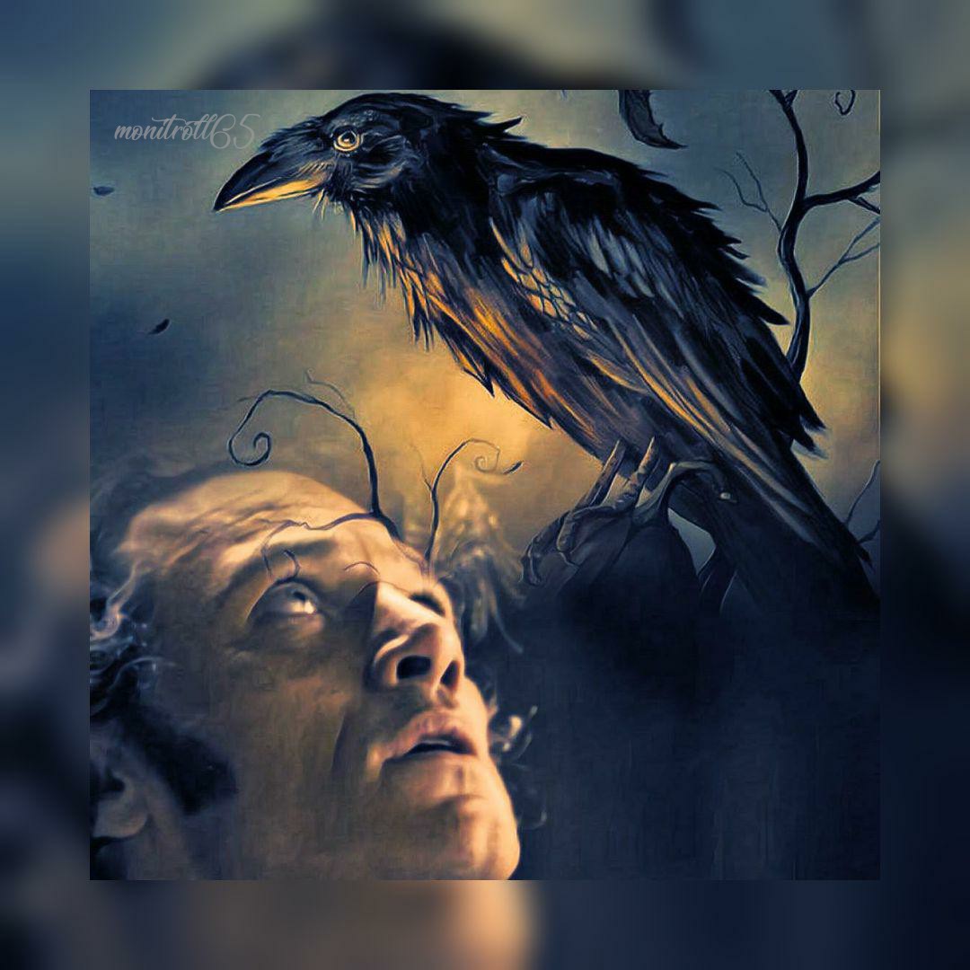monitroll65's tweet photo. Happy #FieldsFriday 🎩
#LukeEvans #DetFields🔎 #TheRaven🎥
#detective #gentleman #serious #passionately #loyal #handsome https://t.co/JOiXJa3Qfo