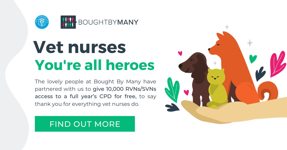Vet Nurses, there's still time to sign up for 11 hours of FREE cpd content! We've partnered with @boughtbymany to say a big thank you for everything you do. 🎉

Register for your free CPD access here: ow.ly/MFdf50A1Fbl

#BoughtByMany #TheWebinarVet