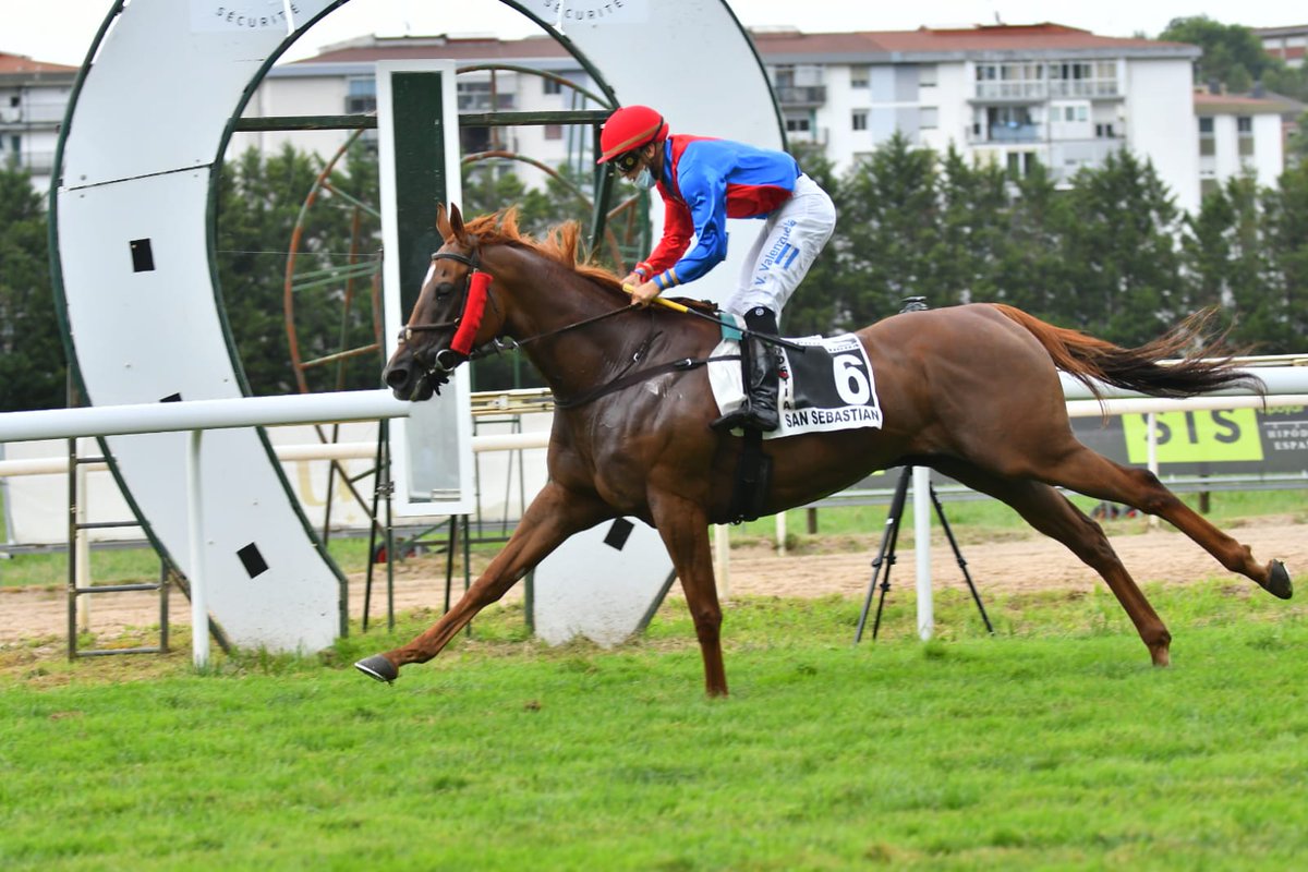 HipodromoSnSn's tweet photo. El histórico premio 175°aniversario de las Carreras de caballos de Sanlúcar, lo gana Jasmine, montada por VM Valenzuela, preparada por G Vaz y de la C Quinta das Figueiras. https://t.co/kgu5vMkpt0