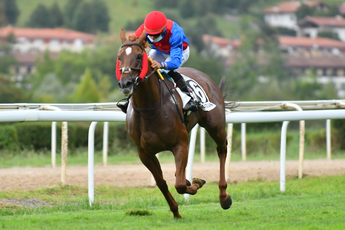 El histórico premio 175°aniversario de las Carreras de caballos de Sanlúcar, lo gana Jasmine, montada por VM Valenzuela, preparada por G Vaz y de la C Quinta das Figueiras.