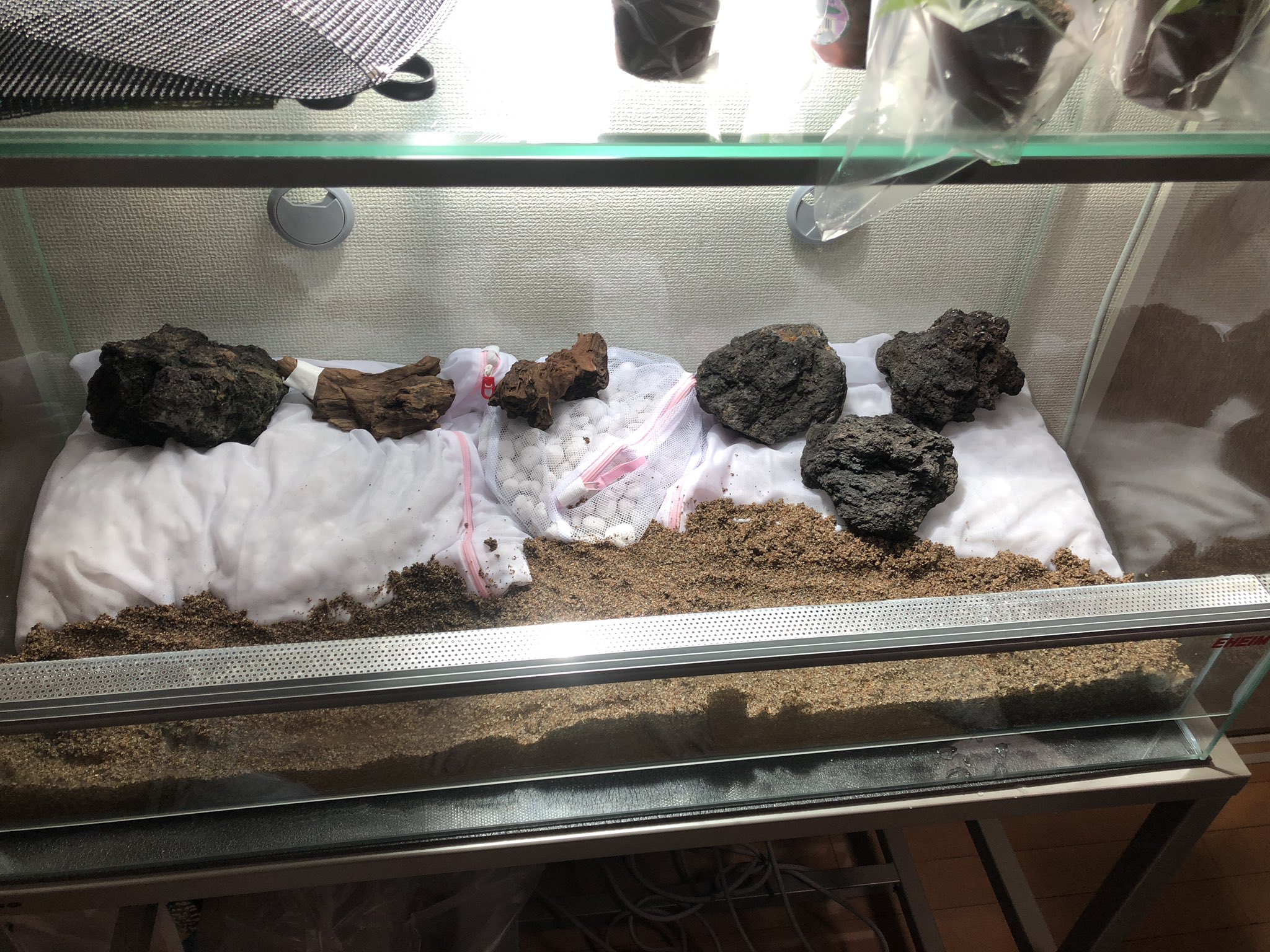 カエルdx 睡蓮 5 12発売 アクアテラリウムでカエルを飼いたい その11 アクアテラリウム完成 一気に全部レイアウトして完成させちゃった テーマは特にないんですけど 強いて言うなら熱帯ジャングル 木の裏側からホースを回して流木から水がした