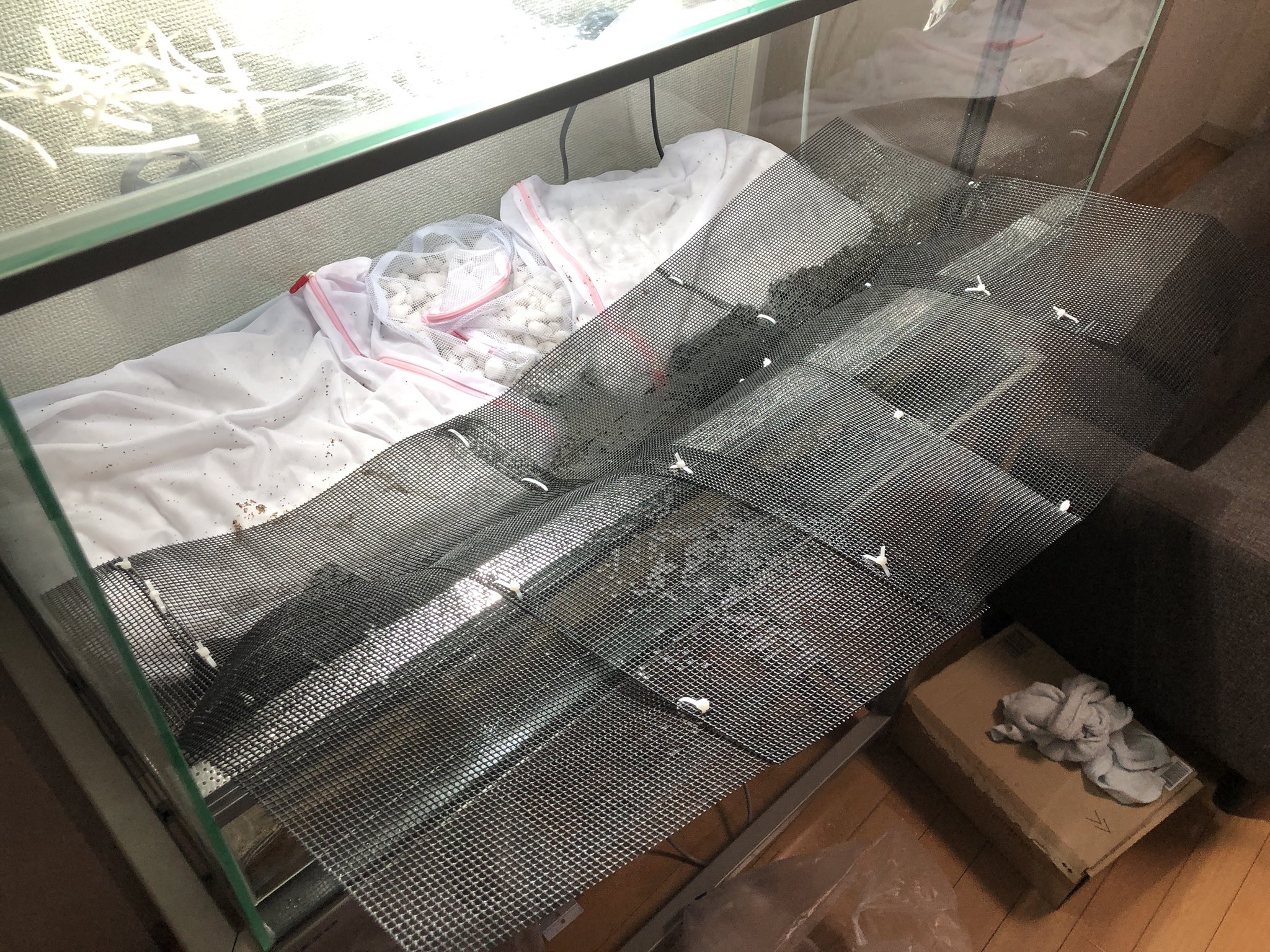 カエルdx アクアテラリウムでカエルを飼いたい その5 園芸ネットを結束バンドで裁縫みたいにつなぎ合わせて 陸地のセパレートを作る これいる とお思いのあなた これがないと陸と水中がぐちゃぐちゃになってレイアウトが 崩壊するでよ 底上げの軽石