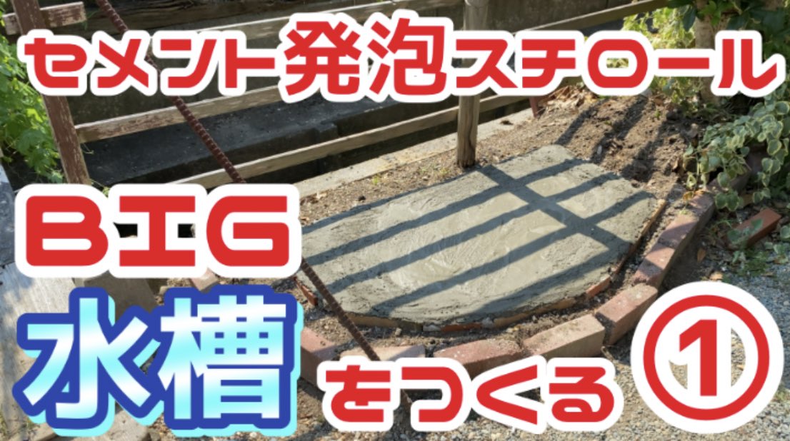Haru S Aquarium Ch Twitter Haru S Aquarium Ch Twitter