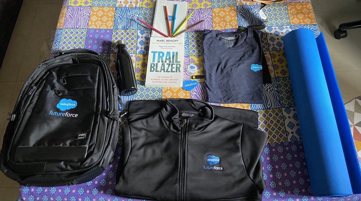 101mankey's tweet photo. Got this awesome shipment by Futureforce. Special mention to those plantable pencils, each to be grown into the labelled vegetable. @SalesforceEdu #futureforce https://t.co/osv132y6Er