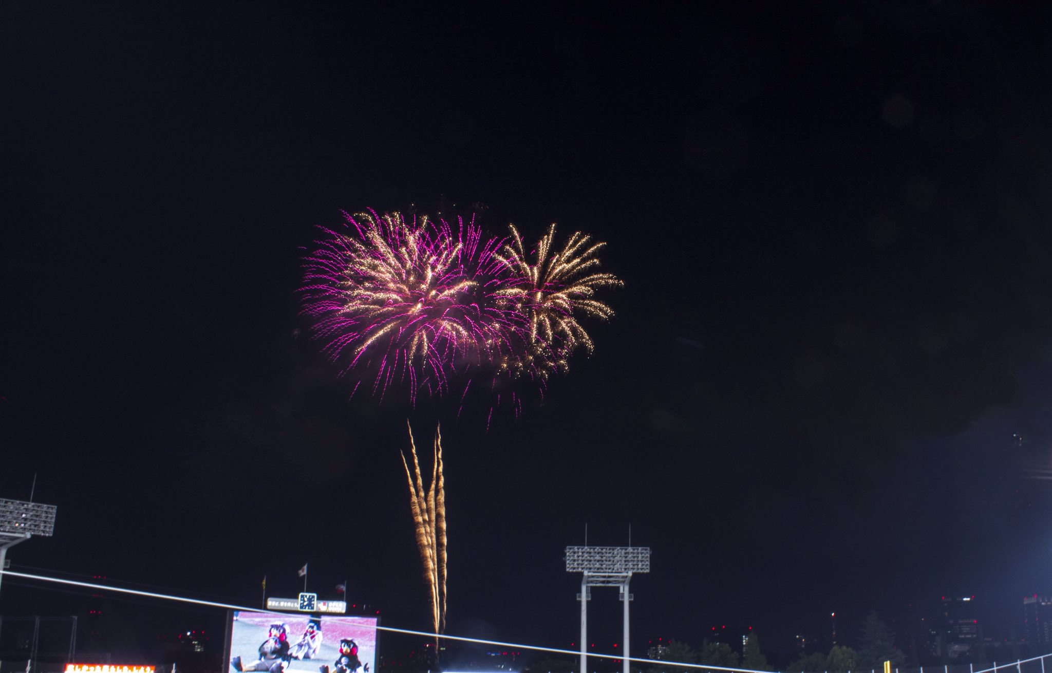 花火 北区花火会 2024 RED × BLUE SPARKLE GATE SEP,28