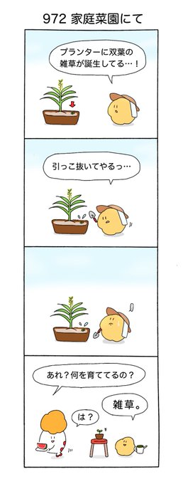 家庭菜園初心者 を含むマンガ一覧 ツイコミ 仮 家庭菜園初心者 を含むマンガ一覧 ツイコミ 仮