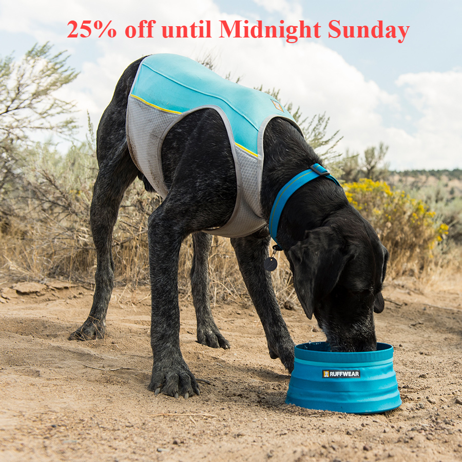 Zena Conkey tweet media