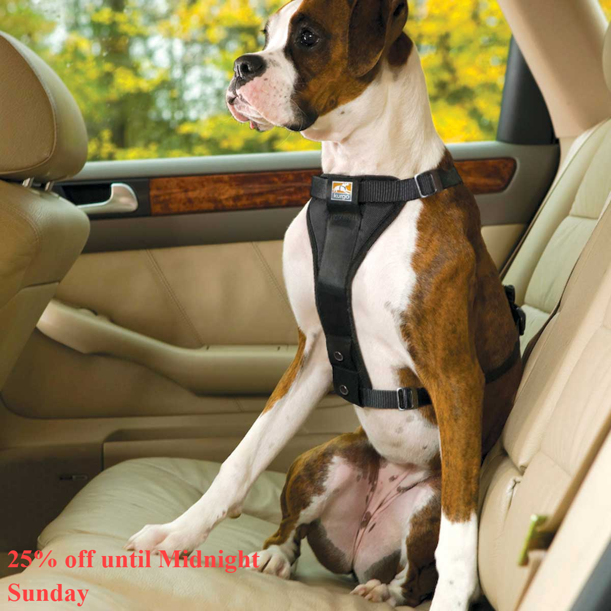 Zena Conkey tweet media