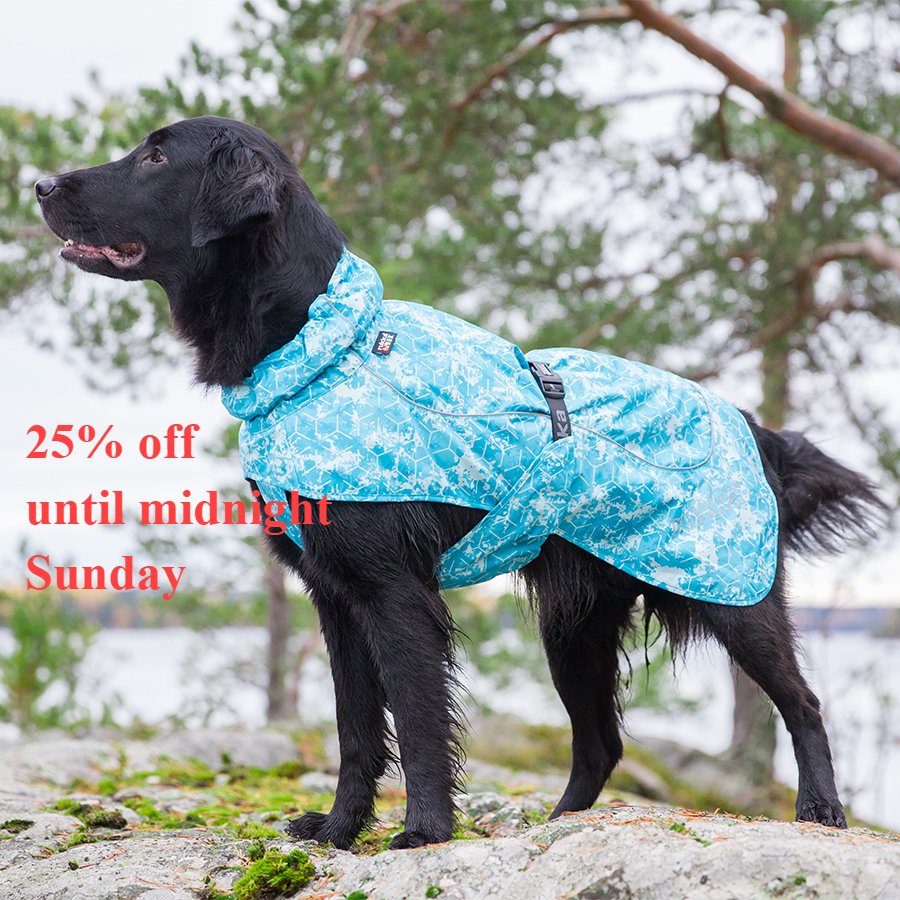 Zena Conkey tweet media