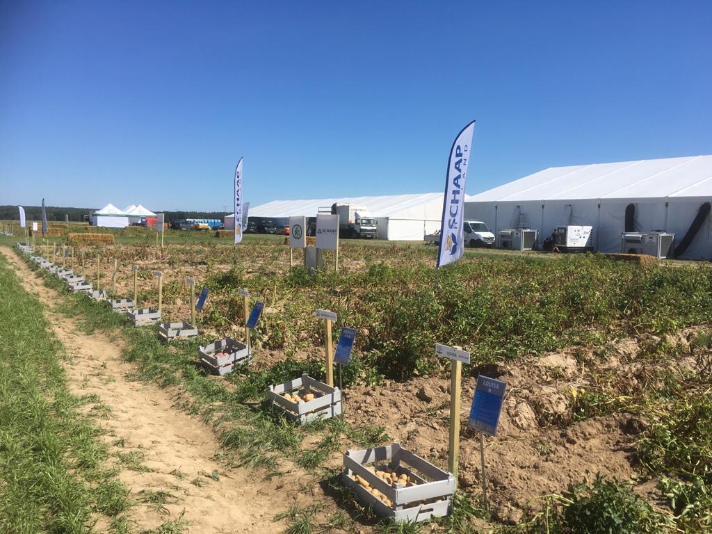 Poldergoud's tweet photo. Welkom Potato Poland 2020 Krajowe Dni Ziemniaka https://t.co/kzDe2CcDaA