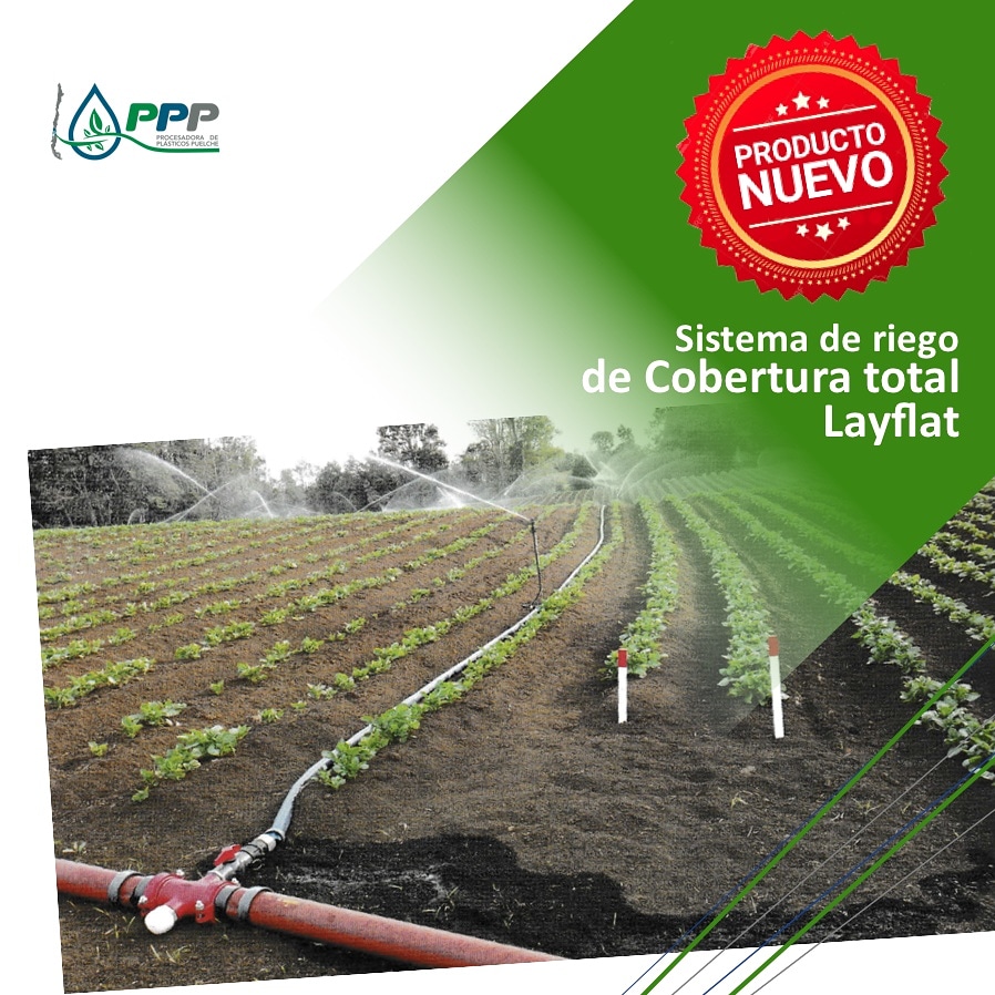 PPuelche's tweet photo. Sistema de riego de cobertura total Layflat:
En PPP distribuimos este sistema de riego, sistema novedoso que combina la metodología de riego de pivotes con un nuevo sistema de tuberías con altos beneficios económicos! 
#sistemasderiego
#sistemasderiegochile
#pppltda 
#pppriobueno https://t.co/XBs9BRrzfy