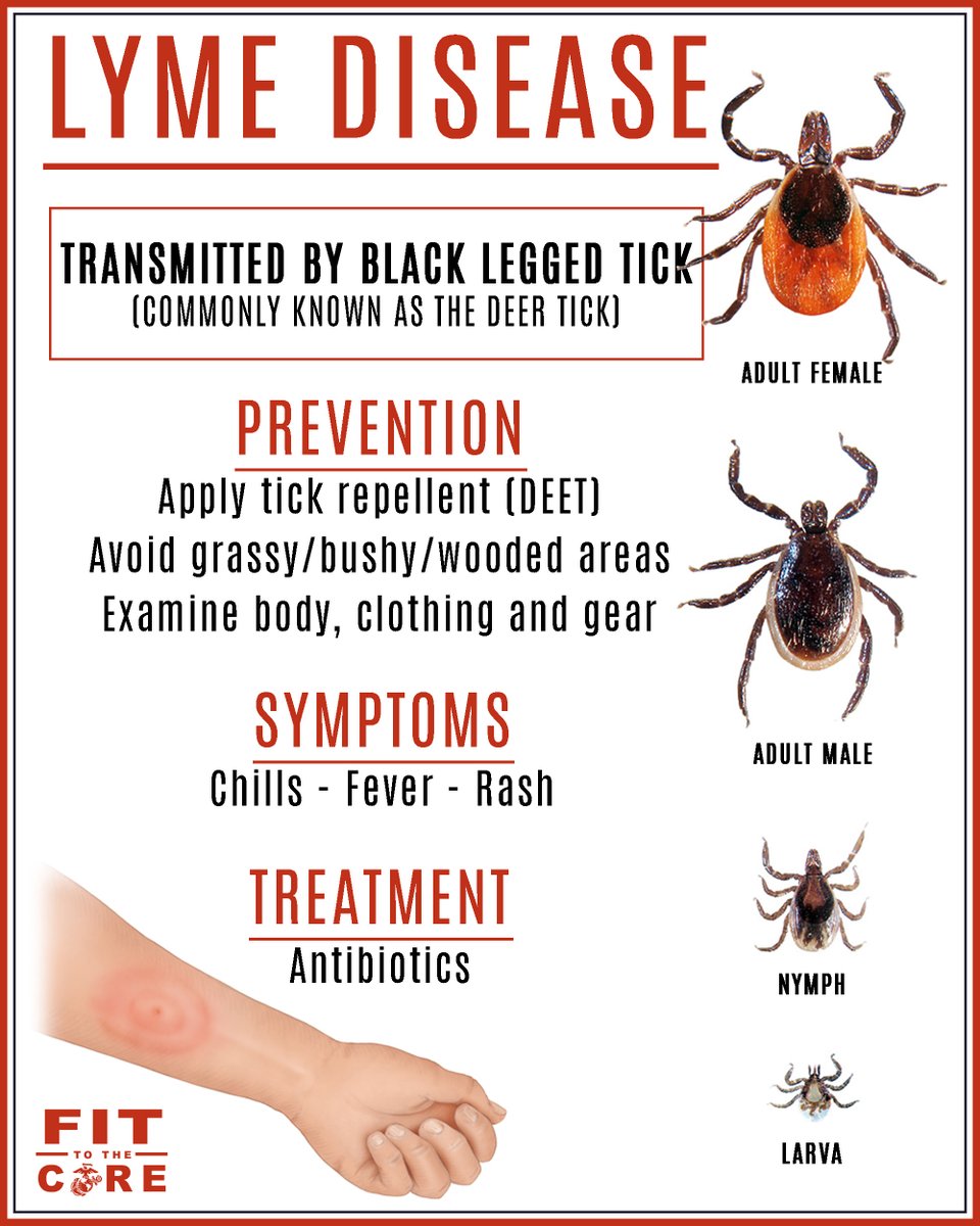 MCB_Quantico's tweet photo. Don't let Ticks take a Bite out of you!
Untreated #LymeDisease infection can spread to joints, heart & nervous system.
Spending time hiking, camping, gardening, hunting or even in your own yard, could bring you in contact with ticks.
https://t.co/CgEnGnvrGo
#fittothecore Friday https://t.co/3CqUBzcCkN