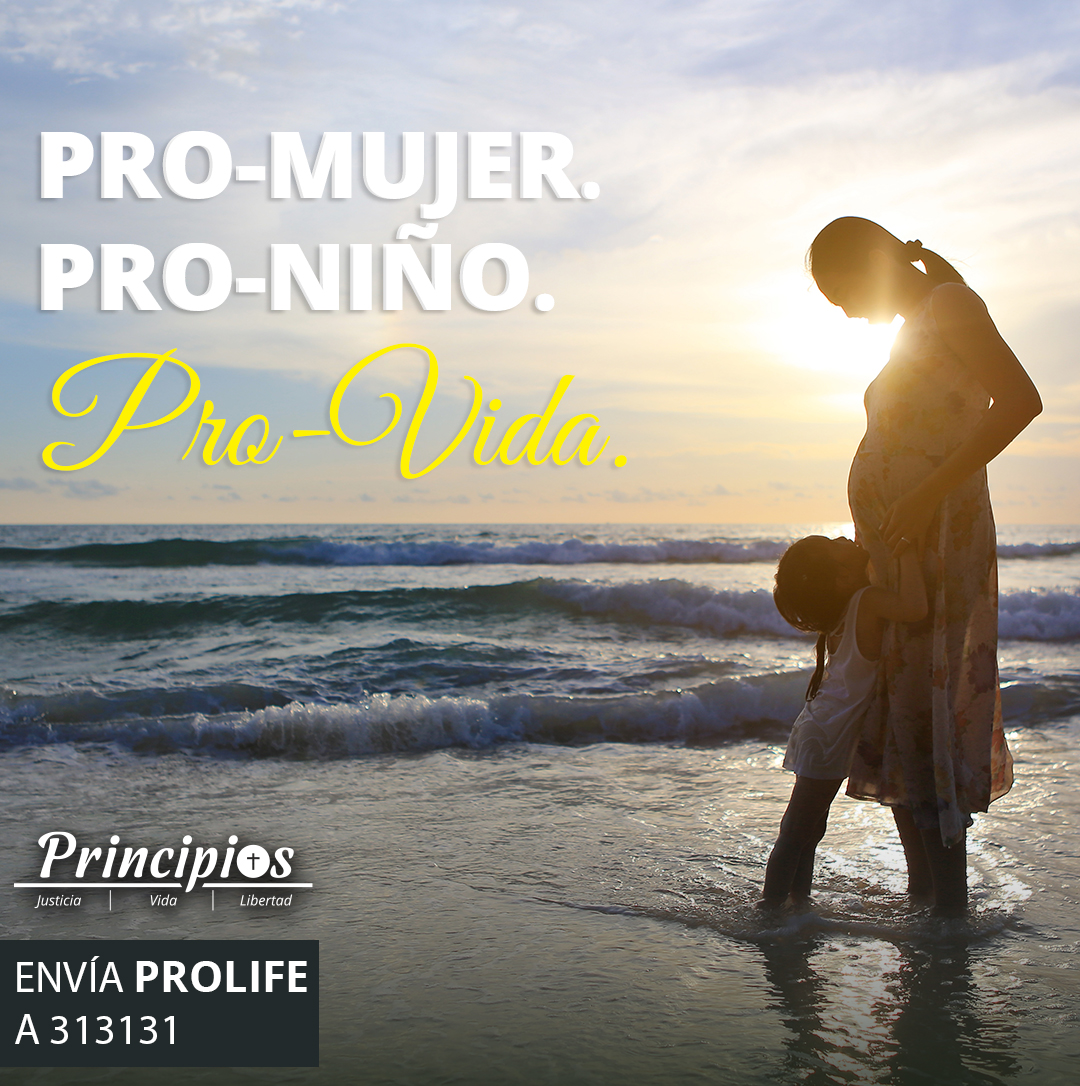 PrincipiosPAC's tweet photo. https://t.co/Xv5AYyhcqH