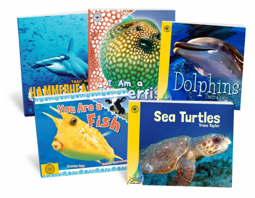AmericanReading's tweet photo. Your smallest readers will make the biggest splash! 🌊

🐡Puff up the skills of Yellow readers! Practice initial sounds with the Guppy eBundle collection from American Reading at Home. https://t.co/cwC72qCOw5

#LearnAtHome https://t.co/O8xGKi9ckG