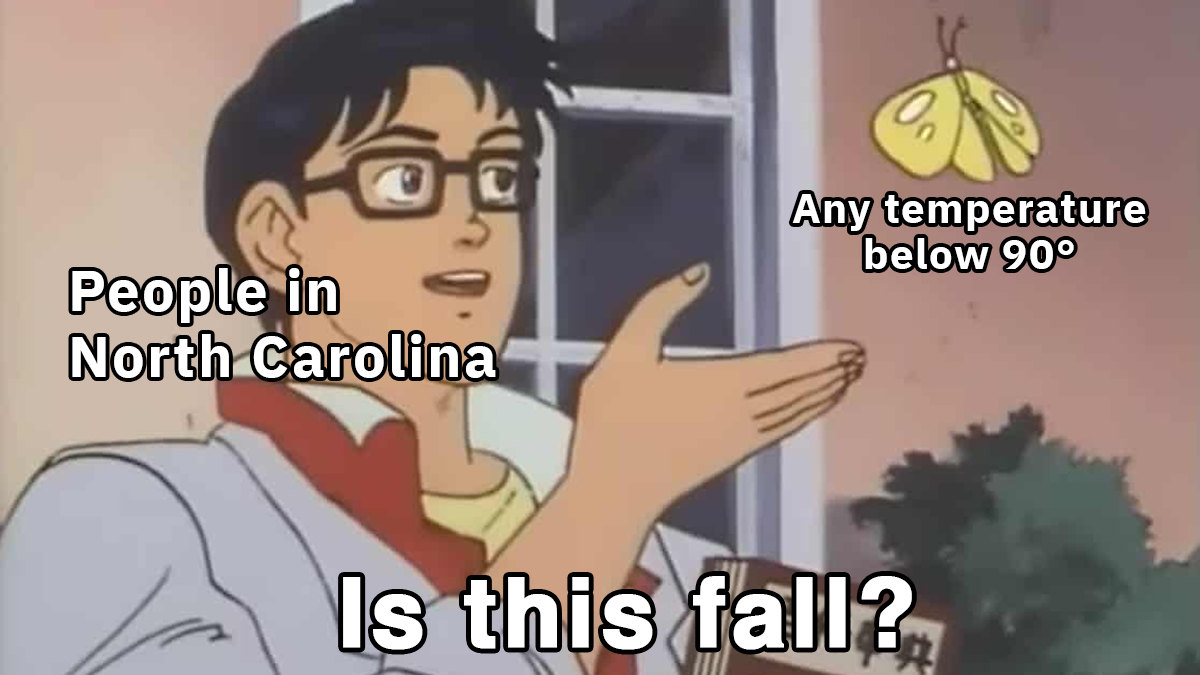 Discover Durham tweet media