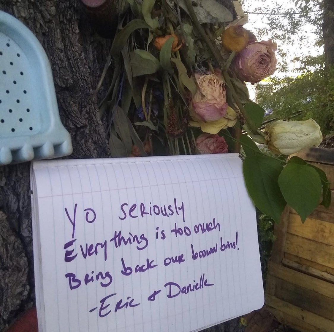 1/2 Community Compost Highlight: <a href="/SunnyCompost/">Woodside Sunnyside Composting</a>! Since NYC’s brown bin suspension, this small team of volunteers saw a 6x increase in weekly food scraps, collecting 150 gallons a day. Helping fight hunger, they also donated 232 of farm fresh produce to their local pantry! Give