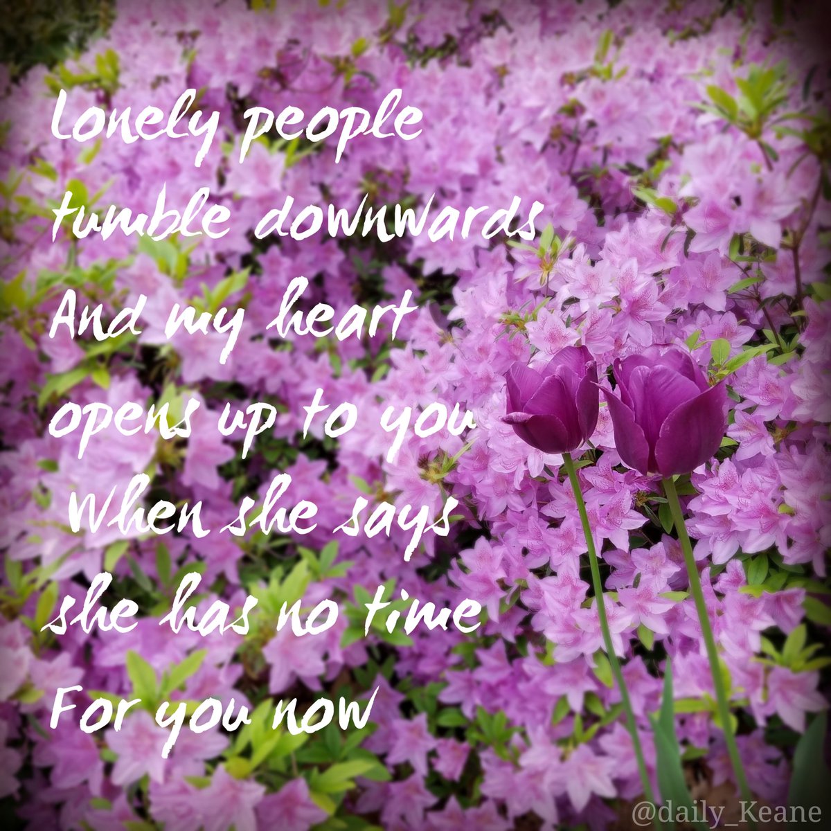 daily_Keane's tweet photo. #SheHasNoTime #Keane https://t.co/i57OTyPMJO