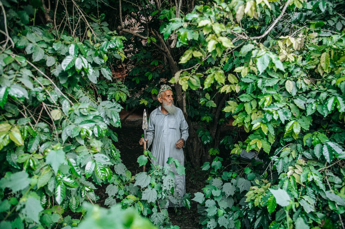 بعض من تصوير لاحد المزرعين من محافظة #الريث وتحديدًا من جبال #القهر ⛰