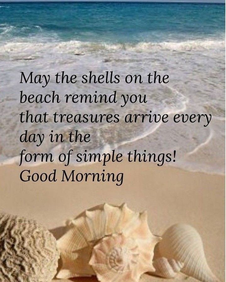 devon533's tweet image. 💯💯💯