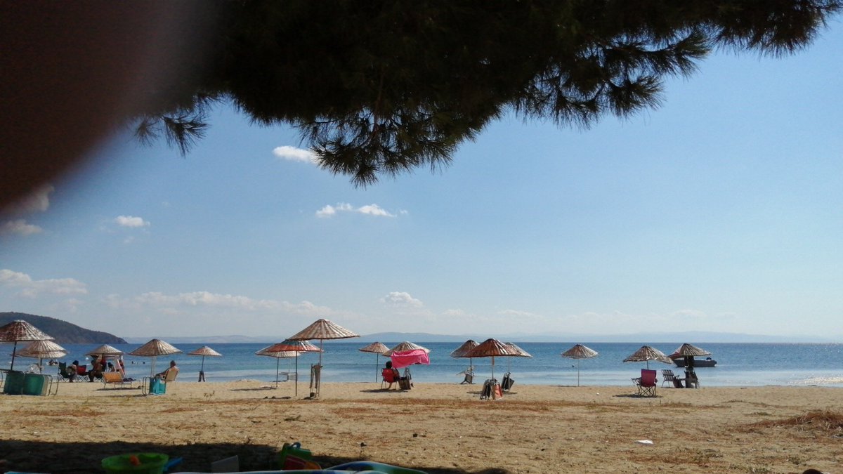 ANKARA TEK ERKEK Ersoy fatih (@yalancisindunya) on Twitter photo 