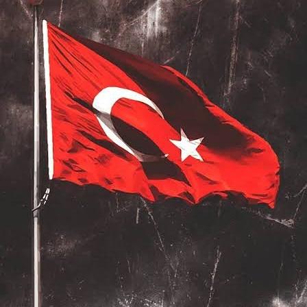 zlyh89's tweet photo. Yol ver Türk'ün bayrağına.

#MüjdelerinAdamıRTE
#MujdeliCuma https://t.co/nUfpOvxy4v