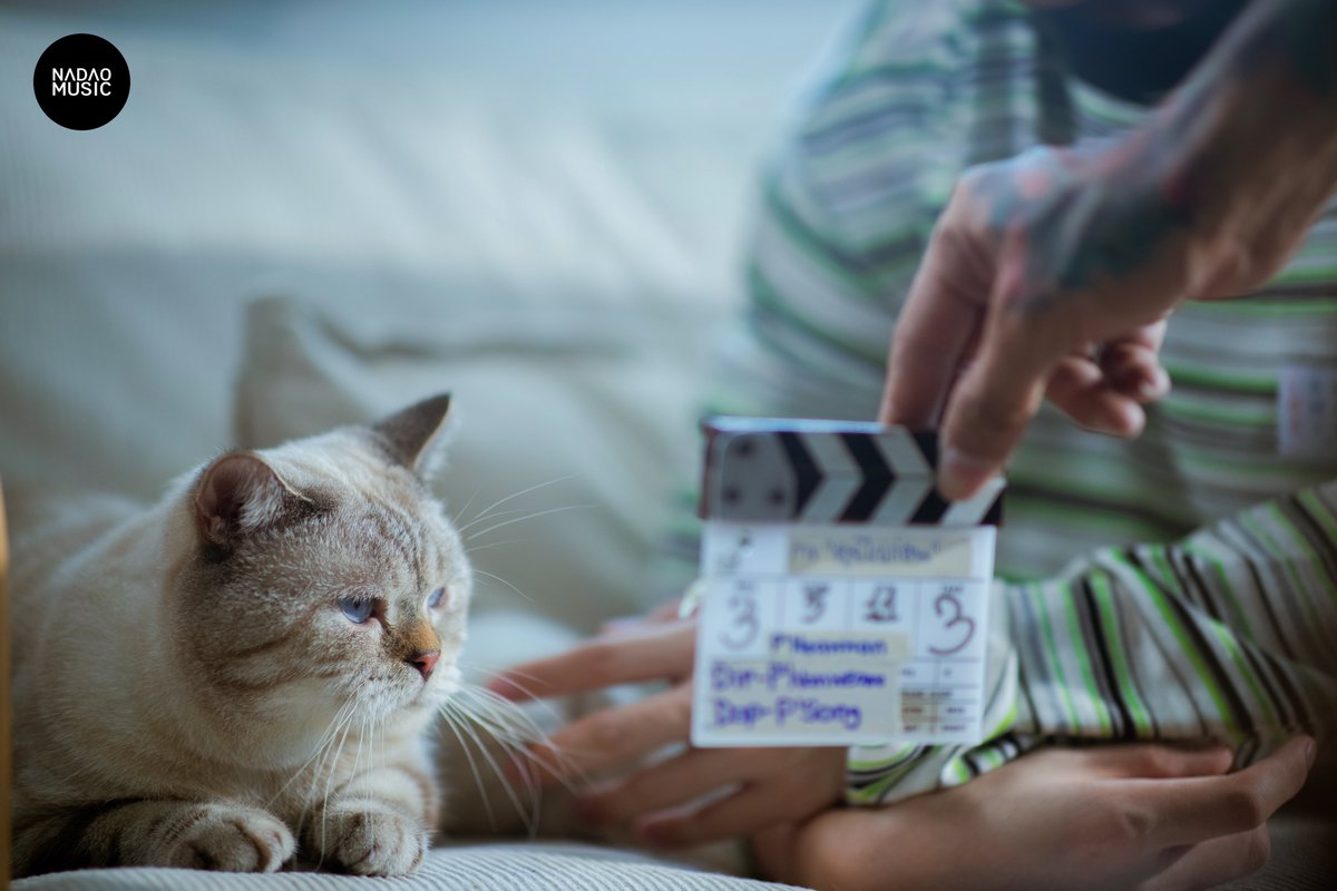 NadaoBangkok's tweet image. 📷 แชร์ภาพเบื้องหลัง MV คุยไปก่อน 
มาดูโมเม้น พระเอก CAPTAIN
และนางเอกน้องบ่ายสามกัน 🐱🥰
.
youtu.be/xwnl3E6T3Vg

#คุยไปก่อน
#TakeYourTime
#CAPTAINchonlathorn
#NadaoMusic