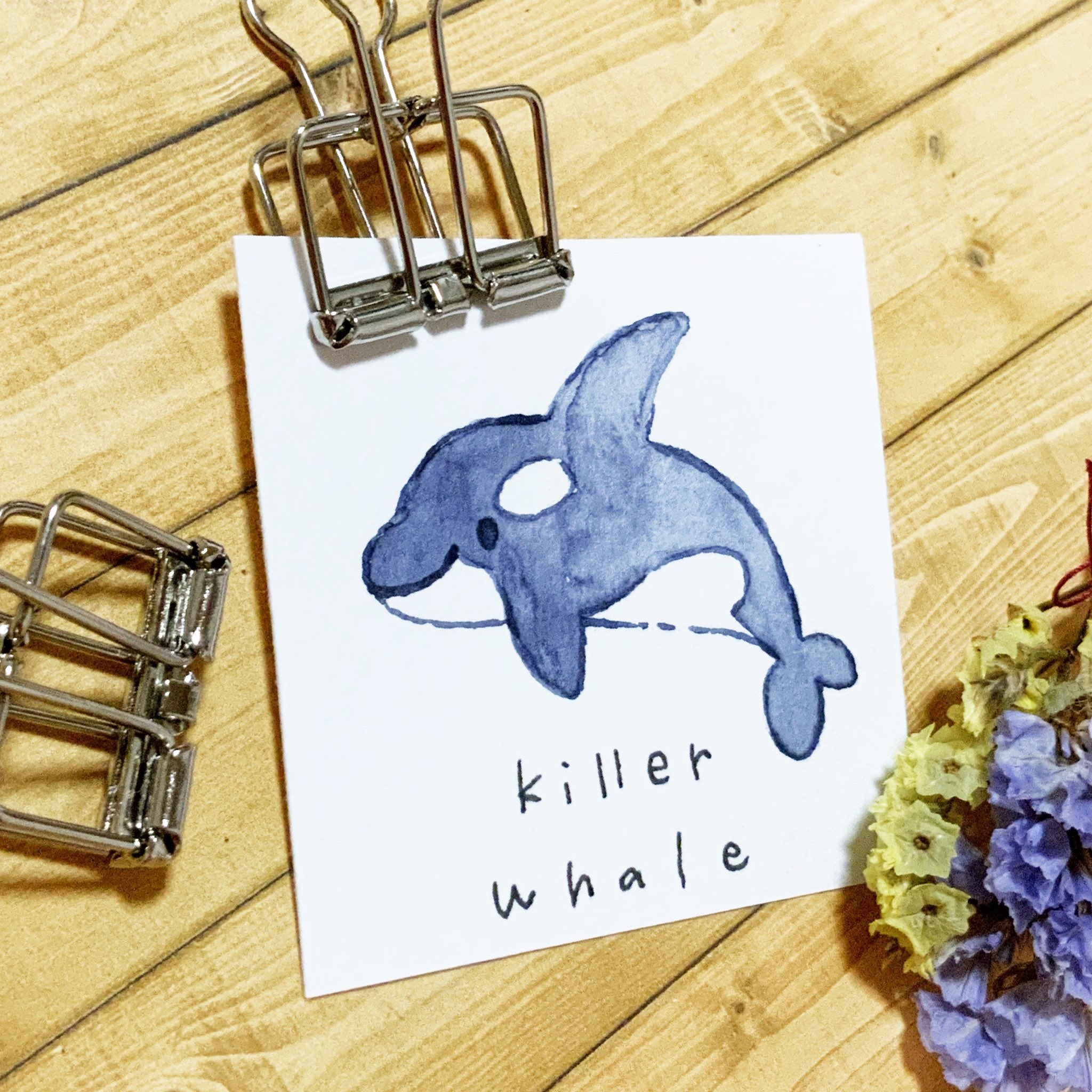 えびんぐ イラストレーター イルカ ではなくシャチです 英語でkiller Whaleと言うそうです Colour Cotman Cadmium Deep Red Hue Cotman Intense Blue Paper White Watson 190g イラスト シャチ Killerwhale Illustration 手描きイラスト Dog えびんぐ イラストレーター イルカ ではなくシャチです 英語でkiller Whaleと言うそうです Colour Cotman Cadmium Deep Red Hue Cotman Intense Blue Paper White Watson 190g イラスト シャチ Killerwhale Illustration 手描きイラスト Dog