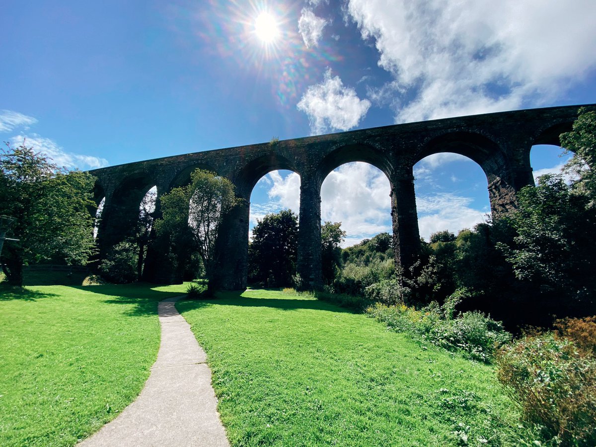 Colin Tonge tweet media