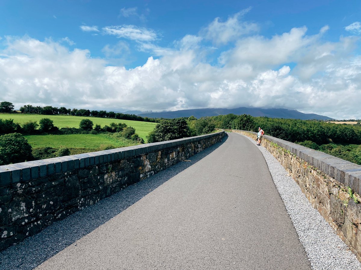 Colin Tonge tweet media