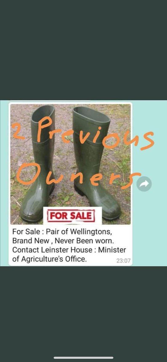 asharry4's tweet photo. @MaryLouMcDonald https://t.co/3x1fFlR6zq