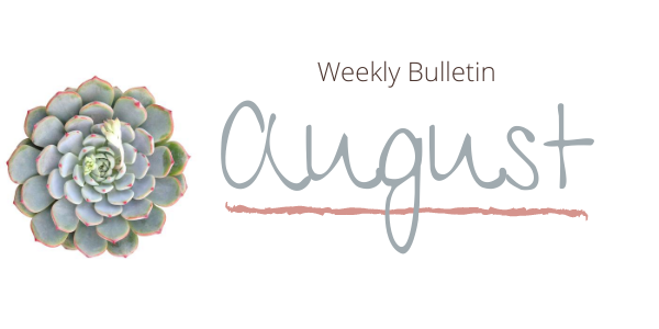 What's going on this week?
🌵 conta.cc/2FFeQuo