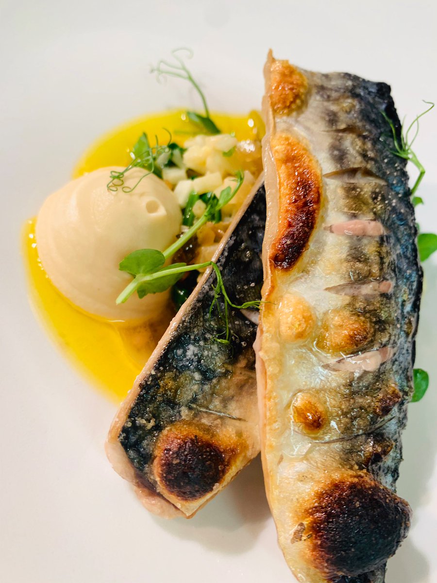 squarebistro's tweet photo. Lovely lunch dish today- grilled Kilkeel mackerel, celeriac & hazelnut #properlunch #local https://t.co/Q4Trx3I5CB
