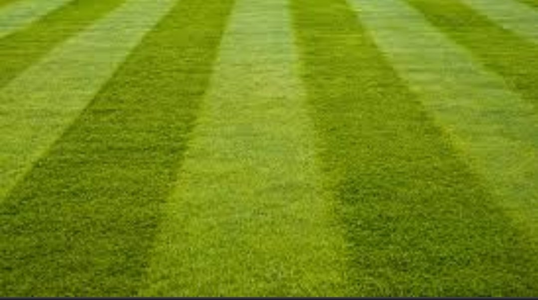 GriffsPm's tweet photo. Never underestimate the effectiveness of a stripe!
#GriffsRule https://t.co/T18lHqPWlp