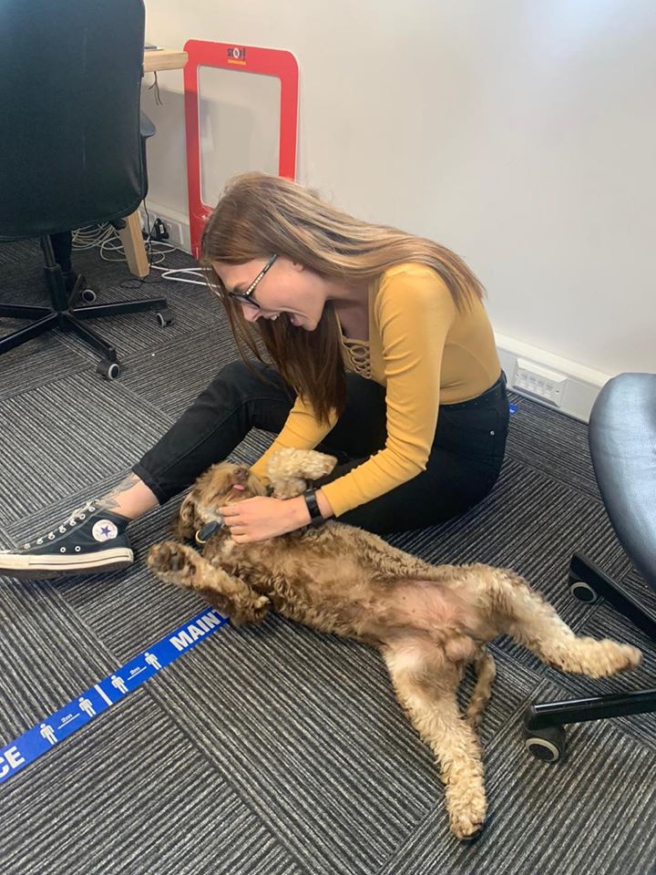 ProfileDigital's tweet image. Who’s got that #FridayFeeling? 🤩 The team at HQ certainly have! And we have loved some Rolo cuddles this week too!🙌🏼