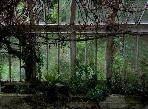 Jopolkadot's tweet photo. Forgotten Greenhouses https://t.co/Zj5Nl26RQR