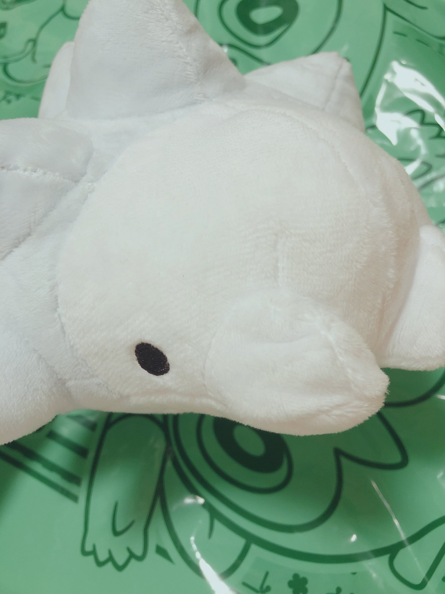 ポケモンgo ブイず推し 願掛けメタモン買ってみた あとソードシールドやってないからぜんぜん知らなかったけどめっちゃかわいいから買ってしまったユキハミなるポケモン メタモン ユキハミ ポケモン ポケモンfit My251 ポケモン好き ポケモンgo