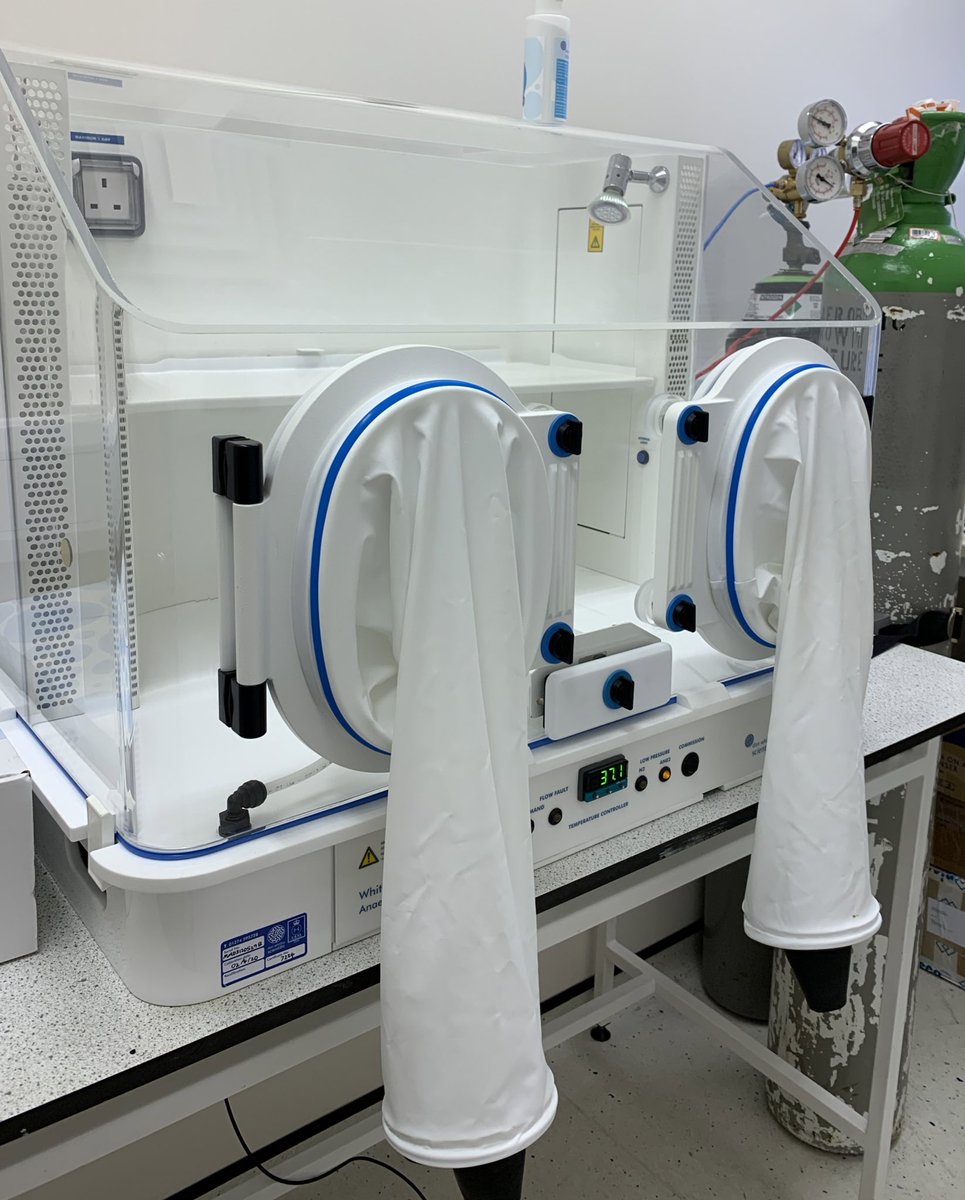 Dr Richard Horniblow (@encapsulatingdr) on Twitter photo New toy in the lab. Anaerobes watch out - we will culture you 🦠 / BIG thanks to <a href="/dw_scientific/">Don Whitley Scientific</a> for the gear! #bioencapsulation #probiotics New toy in the lab. Anaerobes watch out - we will culture you 🦠 / BIG thanks to <a href="/dw_scientific/">Don Whitley Scientific</a> for the gear! #bioencapsulation #probiotics