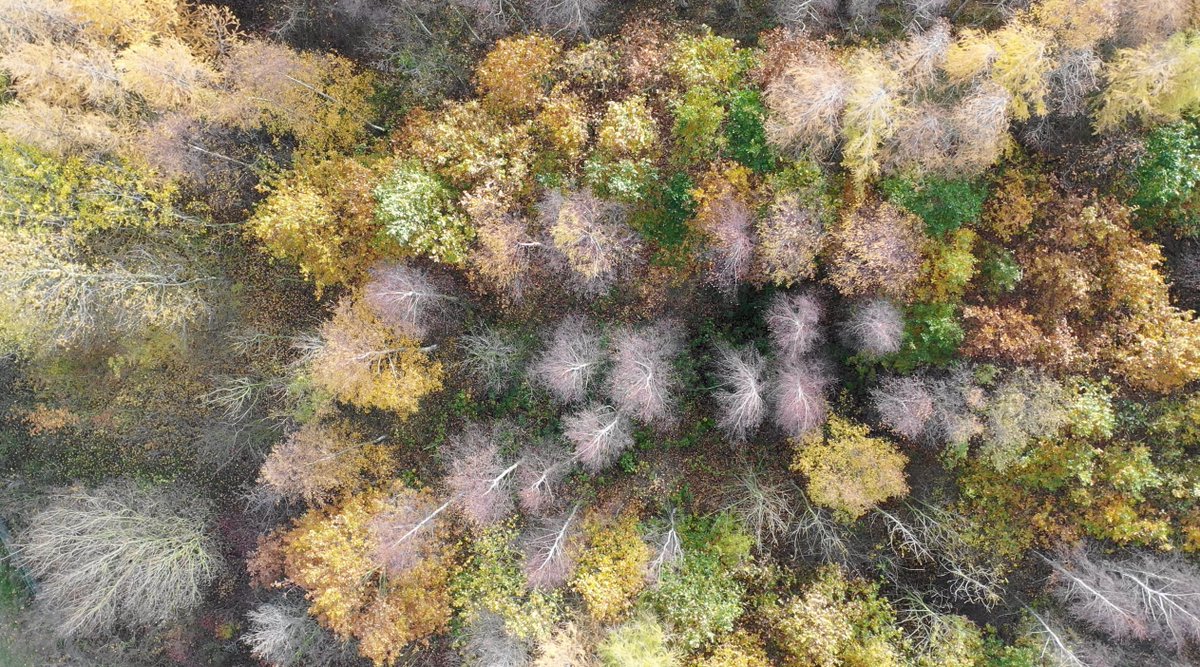 .<a href="/stacie_woolsey/">Stacie Woolsey</a>'s 'New Coal' imagines a future industrial revolution. 

Listen bit.ly/34jGgA6

#ICANewCreatives with <a href="/NTSlive/">NTS Radio</a> funding <a href="/ace_national/">Arts Council England</a> <a href="/bbcarts/">BBC Arts</a> 

Make work like this bit.ly/32emDac